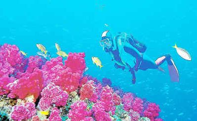 The Solitary Islands Marine Park. The Solitary Islands Marine Park.